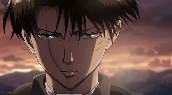 Fanfic / Fanfiction A soldado toyosaki (imagine Levi Ackerman) - Muralha