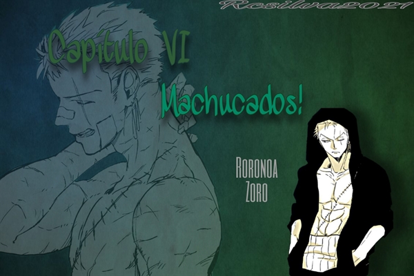 Fanfic / Fanfiction My Life (Roronoa Zoro) - Capítulo VI. Machucados.