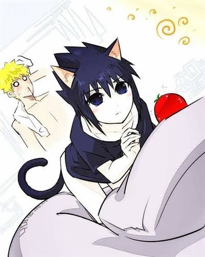 História Sasuke o neko do Naruto !! - Meu neko !! - História escrita por  taiyo23 - Spirit Fanfics e Histórias