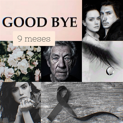 Fanfic / Fanfiction 9 meses - Time to say good bye