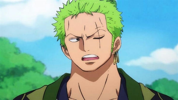 História Zoro - Rei dos mares (One piece) - Único - História