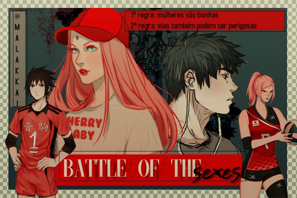 Fanfic / Fanfiction Battle Of The Sexes - The Beginning Of Chaos