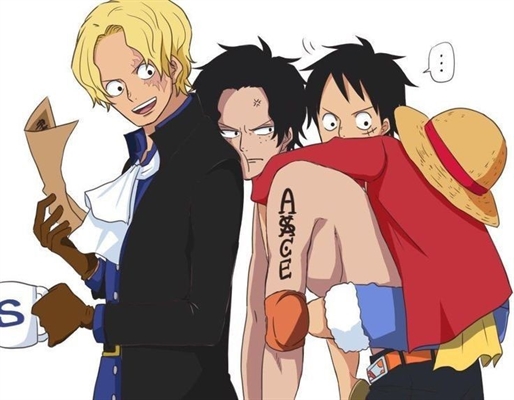 História One Piece - A Amaldiçoada!! - Going Merry, Levi - O Navio Going  Merry e o Novo Amigo Levi. - História escrita por BlackDon - Spirit Fanfics  e Histórias