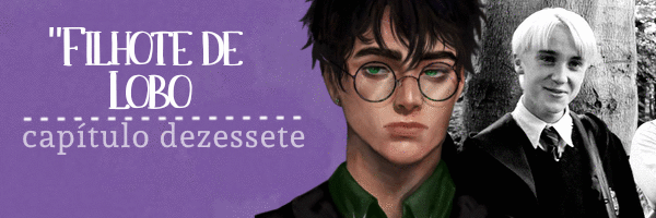 História Letters To Fate - Harry Potter - Capítulo 24 - História