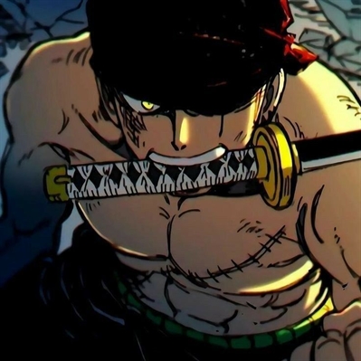 História Estou em One Piece - Zoro - História escrita por
