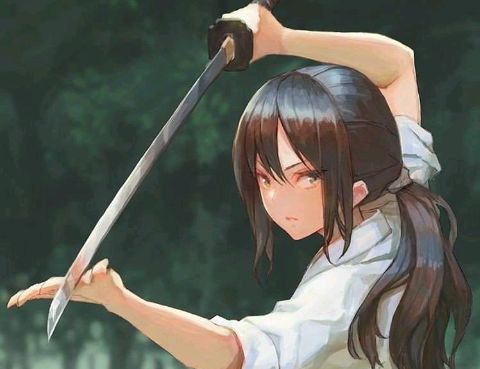 Qual melhor espadachim feminina dos animes.