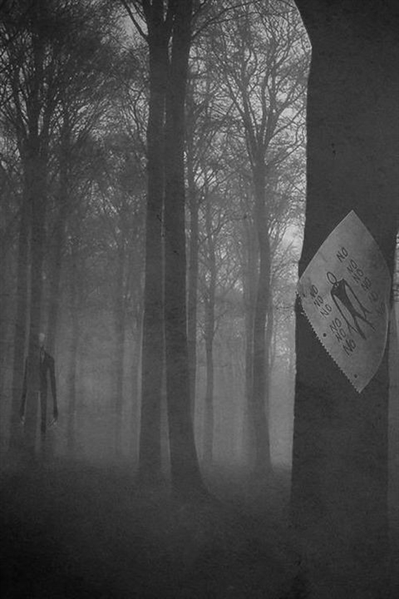 História The executor of Silent Hill - Os dois lados da espada. - História  escrita por Maya_Hayle - Spirit Fanfics e Histórias