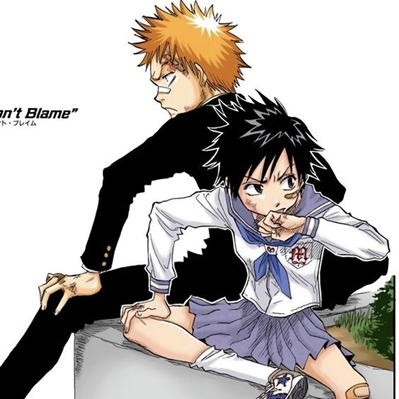 Fanfic / Fanfiction Bleach: Remix - 015. Truth Revealed