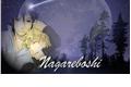 História: Nagareboshi
