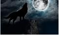 História: O Lobo e a Lua