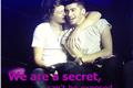 História: We are a secret, cant be exposed...