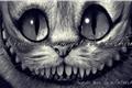 História: Sorria como um Gato de Cheshire