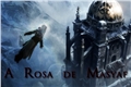 História: A Rosa De Masyaf