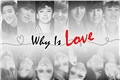 História: Why Is Love
