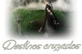 História: Destinos cruzados
