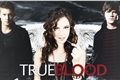 História: True Blood
