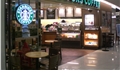 História: Starbucks (Ziam Mayne)