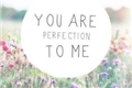 História: You Are Perfection To Me