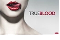 História: True Blood- Primeira Temporada