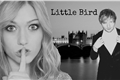 História: Little Bird