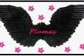 História: Plumas