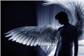 História: Um Anjo Guardi&#227;o