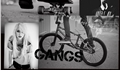 História: Gangs