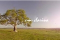 História: Clarina - a hist&#243;ria que a Globo n&#227;o contou