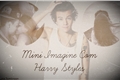 História: Mini Imagine com Harry Styles