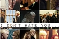 História: I do not hate you