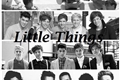 História: Little Things