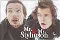 História: Mr. and Mr. Stylinson