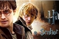 História: Harry Potter e o senhor da morte