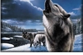 História: Os lobos de secretFalls