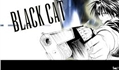 História: Black Cat : Return