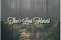 História: The Lost Florest