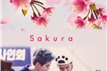 História: Sakura