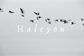 História: Halcyon