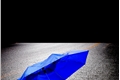 História: My Umbrella