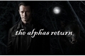 História: The Alphas Return.
