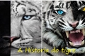 História: A Historia Do Tigre