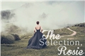 História: The selection, Rosie