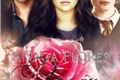 História: A Saga Flores: Rosas