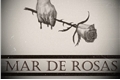 História: Mar de Rosas