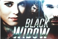 História: Black Widow