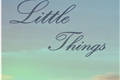 História: Little Things