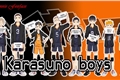 História: Karasuno Boys