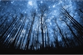 História: Sky full of stars- MITW - HIATUS