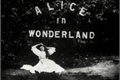 História: Alice in Freakland