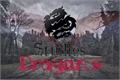 História: Studies Dragons